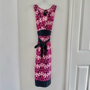 EUC The North Face Liberty Dress in Garden Pink